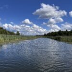 Widok na rzekę Biebrzę