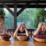 Trójka dzieci siedząca nad dużymi misami z żurawiną