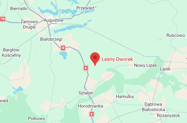 Mapa Google z pinezką zaznaczoną na Leśnym Dworku